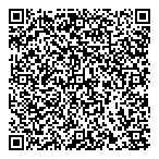 Vivace Consulting Inc QR vCard