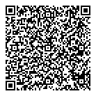 Wok Box QR vCard