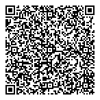 Display Electronics QR vCard