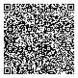 Display Electronics International Inc. QR vCard