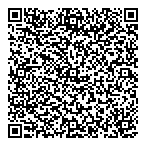 Display Electronicst QR vCard