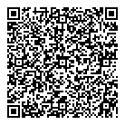 Darmos Toys QR vCard