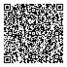 Topsl's QR vCard