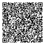 Young Software Consultant QR vCard