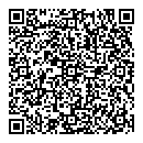 Nancy L Hughes QR vCard