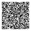 Erroll Jenkins QR vCard