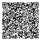 Eclipse QR vCard