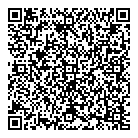 Kuriosities QR vCard