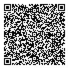 How Bazaar QR vCard