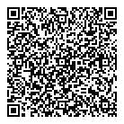 Dixon's Taxi QR vCard