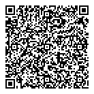 Kamstar Inc QR vCard