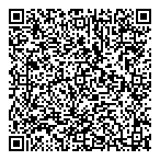 Divine Aesthetics QR vCard