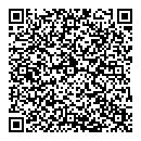 N2n QR vCard