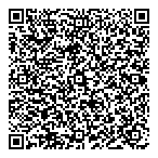 Wireless Island Ltd QR vCard