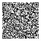 How Bazaar QR vCard