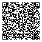 Reinvented Inc QR vCard