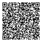 Pinocchio's QR vCard