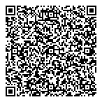 Mad Hatter The QR vCard