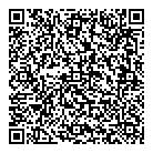 What Is On Pei QR vCard