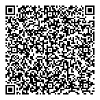 Deluxe French Fries QR vCard