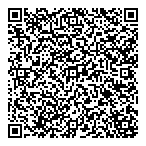Drycleaner The QR vCard