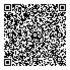 How Bazaar QR vCard