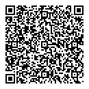 D Wong QR vCard