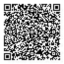 Amir Ali QR vCard
