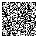 H C I Chan QR vCard