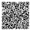L Ali QR vCard