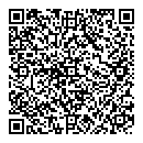 L R Pereira QR vCard