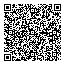 Y Liu QR vCard
