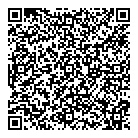 Best Buy QR vCard