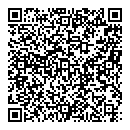 N Sangiuliano QR vCard