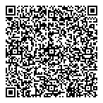 Dillon Consulting Limited QR vCard