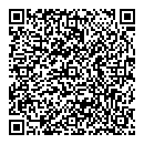 D Wilson QR vCard