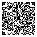 D C M Chan QR vCard