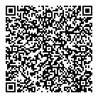 1stvideo QR vCard