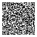 Azam Ali QR vCard