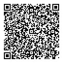 D Chan QR vCard