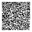 L Liu QR vCard