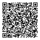 Denzil Pereira QR vCard