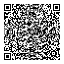 Fazal Ali QR vCard