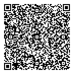 Party Toons Limited QR vCard