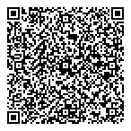 Baby Land QR vCard