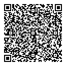 Neritan Ali QR vCard