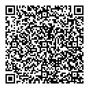 L Ali QR vCard