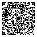 N Ali QR vCard