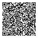 Brian Wilson QR vCard