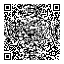 A Ali QR vCard